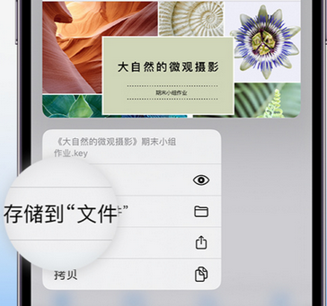 溪湖apple维修中心分享iPhone文件应用中存储和找到下载文件