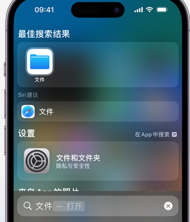 溪湖apple维修中心分享iPhone文件应用中存储和找到下载文件 