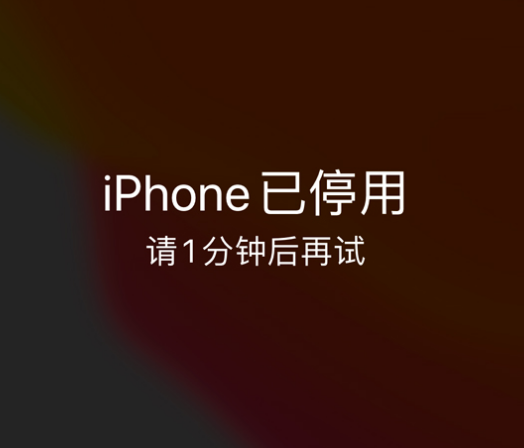 溪湖苹果手机维修分享:iPhone 显示“不可用”或“已停用”怎么办？还能保留数据吗？ 