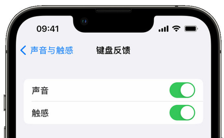 溪湖苹果手机维修分享iPhone 14触感键盘使用方法 