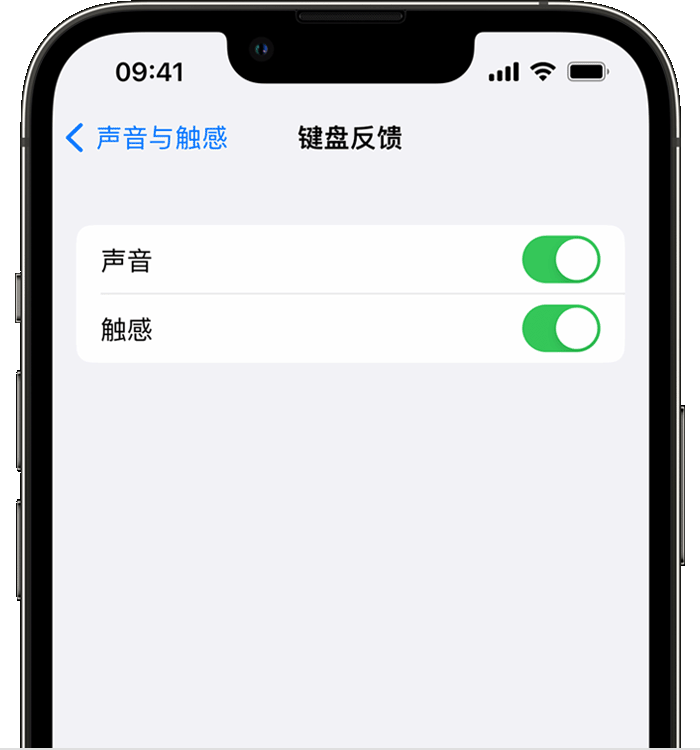 溪湖苹果14维修店分享如何在 iPhone 14 机型中使用触感键盘 