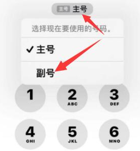 溪湖苹果14维修店分享iPhone 14 Pro Max使用副卡打电话的方法 