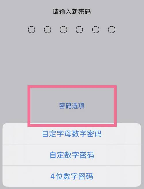 溪湖苹果14维修分享iPhone 14plus设置密码的方法 