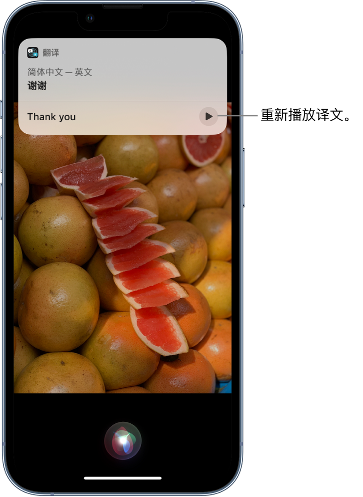 溪湖苹果14维修分享 iPhone 14 机型中使用 Siri：了解 Siri 能帮你做什么 