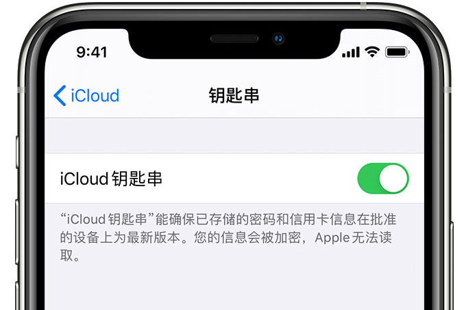 溪湖苹果手机维修分享在 iPhone 上开启 iCloud 钥匙串之后会储存哪些信息 