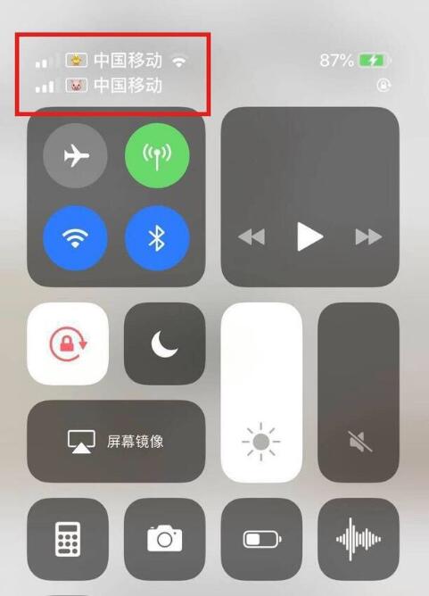 溪湖苹果手机维修分享为 iPhone 12 双卡设置标签 